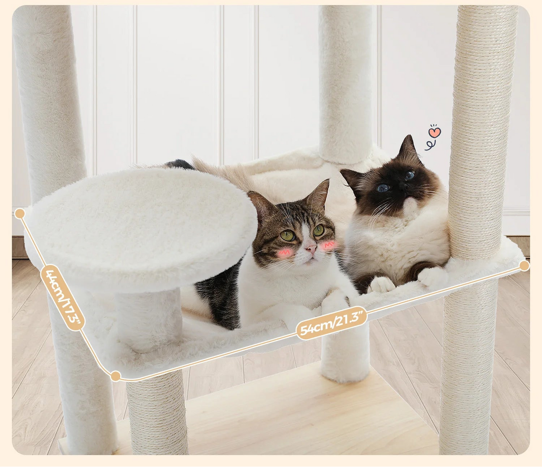 Arbre à chat en bois multi-niveaux — détail