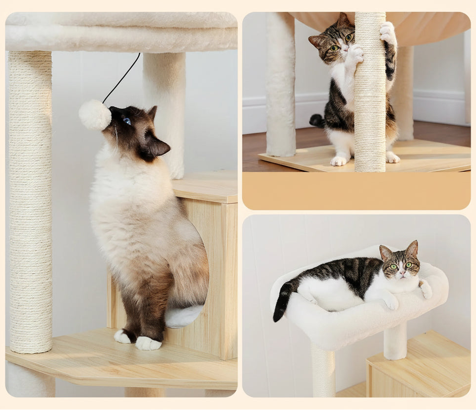 Arbre à chat en bois multi-niveaux — vue arrière
