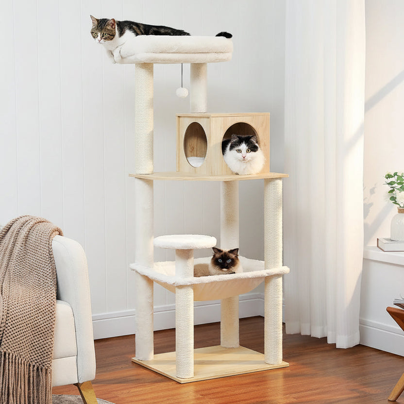 Arbre à chat en bois multi-niveaux — vue d'ensemble