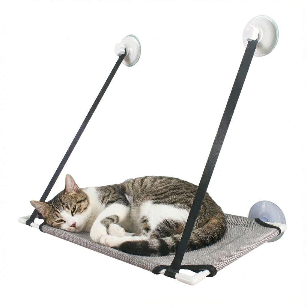 Hamac pour chat avec ventouses résistantes — vue arrière