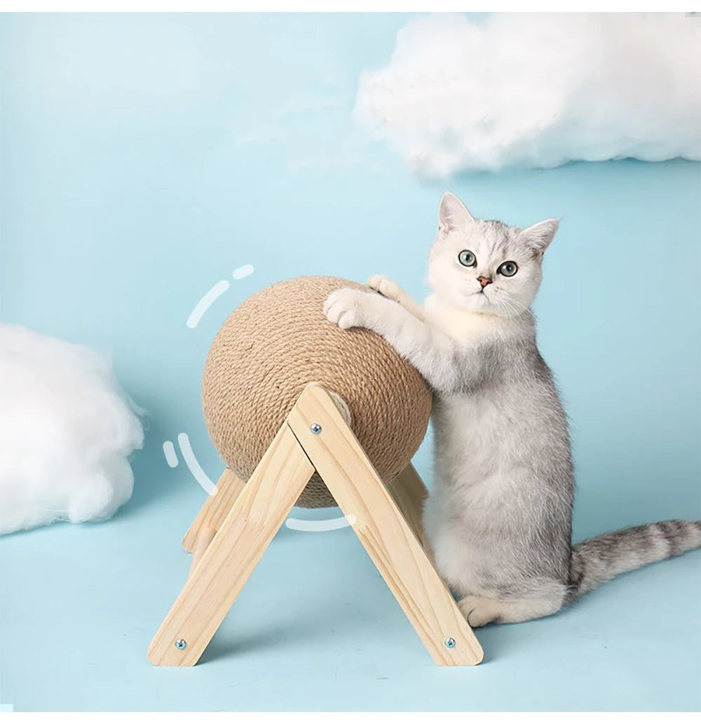 Cat standing against the scratching ball