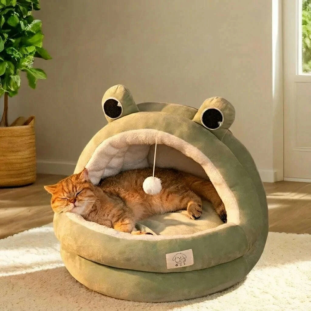 Maison verte pour chat cocon — en situation