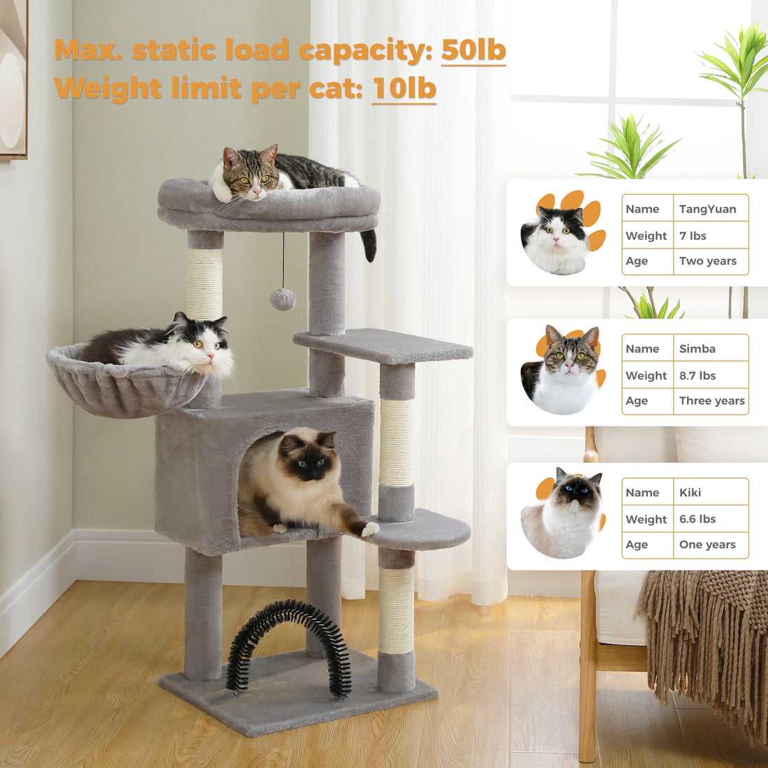 Arbre à chat 106 cm avec échelle et niches