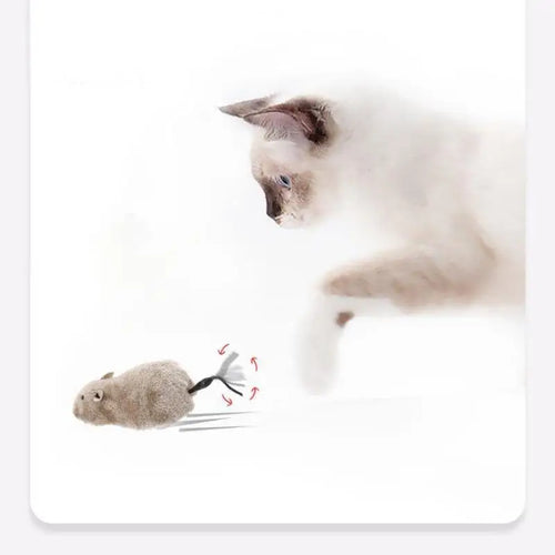 Souris à remonter pour chat en peluche