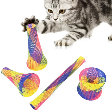Chat tigré gris tendant la patte vers des tubes ressorts multicolores, étirés, en cône et en anneau