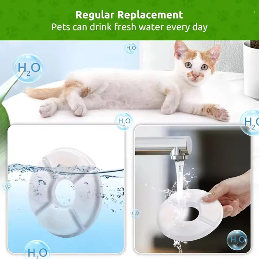 Filtres pour fontaine à eau de chat — charbon actif (lot)