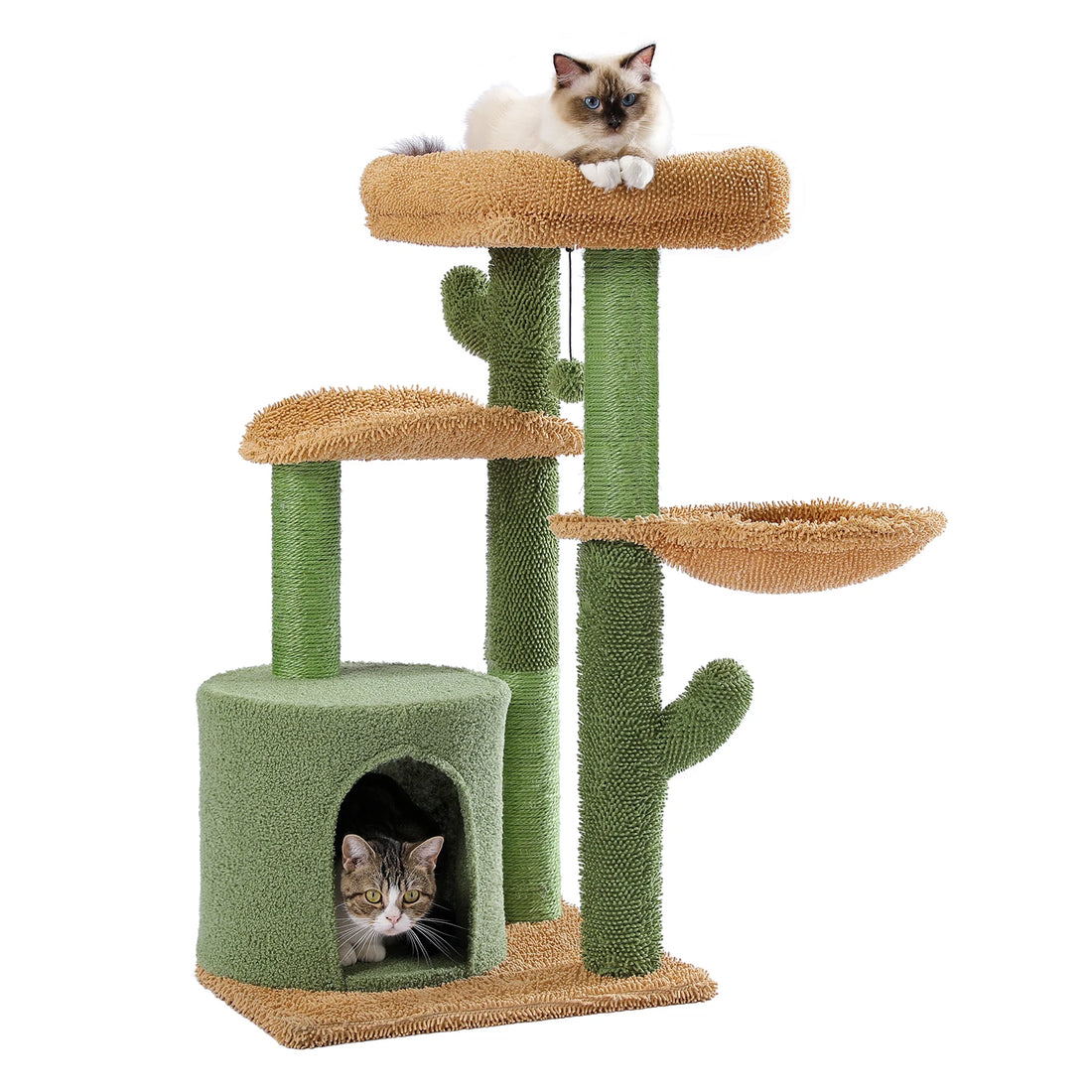 Arbre à chat cactus avec niche cocon