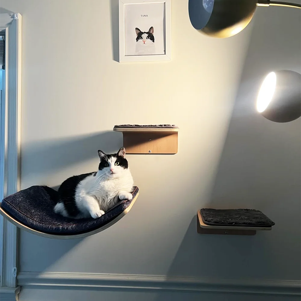 Chat noir et blanc allongé sur un hamac mural incurvé, avec deux petites marches en bois fixées au mur