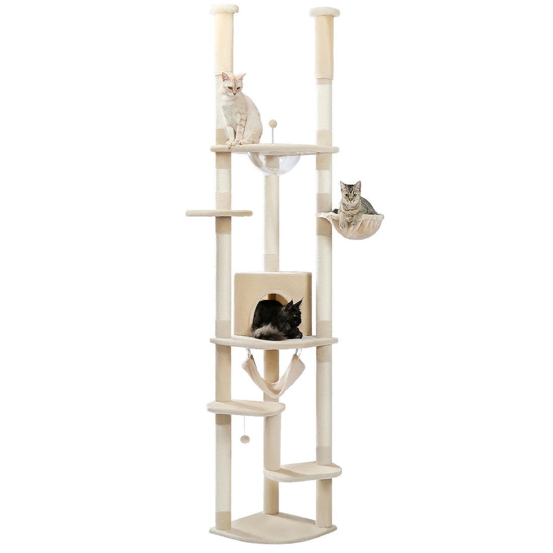 Arbre à chat télescopique multi-niveaux