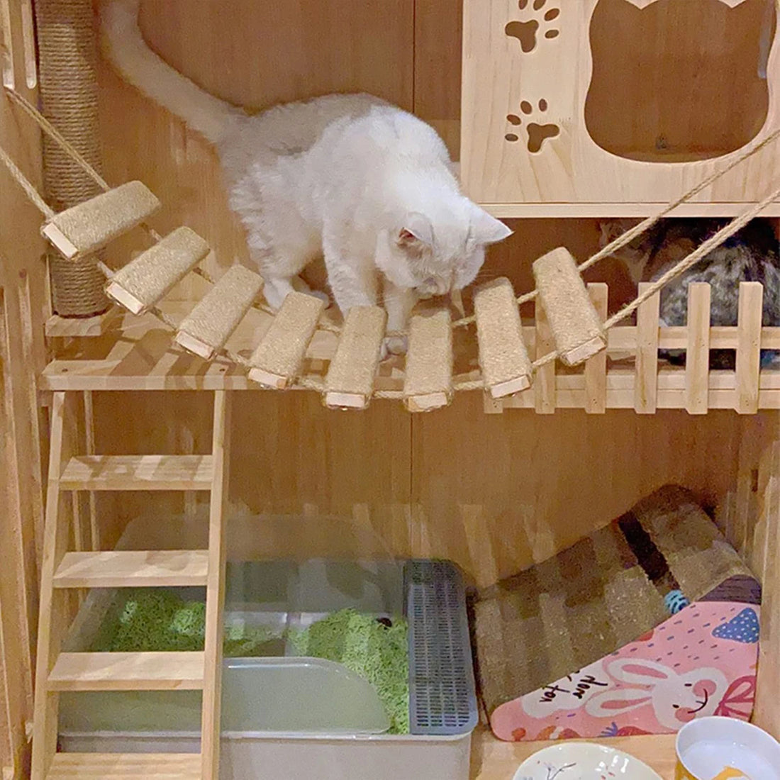 Chat blanc à poil long traversant un pont suspendu à barreaux de corde entre deux niveaux d'un meuble en bois