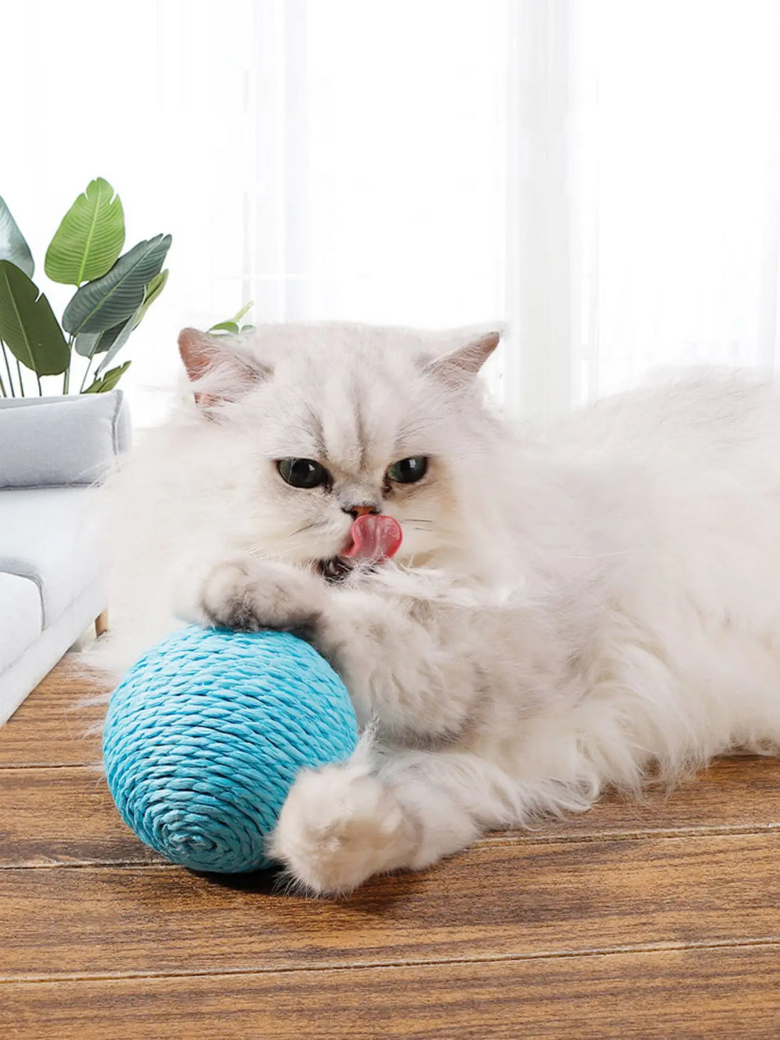Cat licking the blue sisal scratching post ball