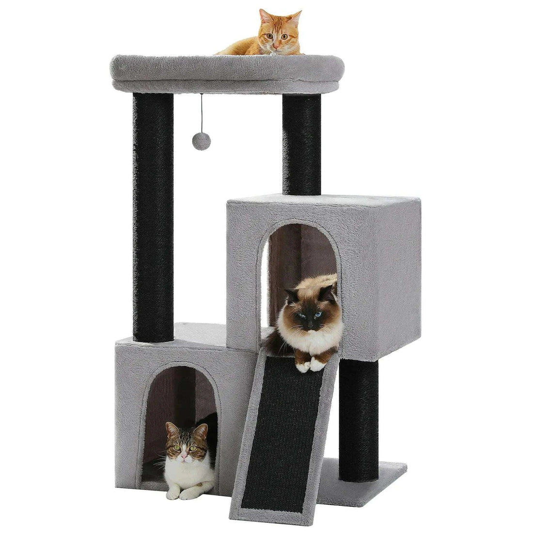 Petit arbre à chat robuste et compact