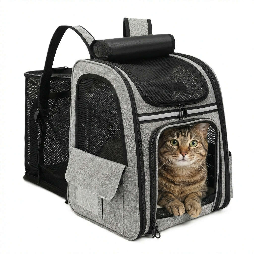 Sac à dos extensible pour chat — en situation