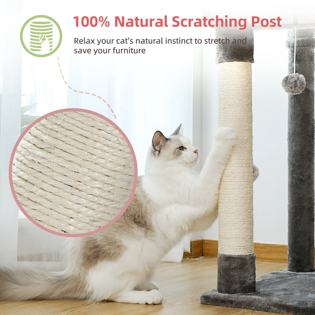 Arbre à chat télescopique multi-niveaux