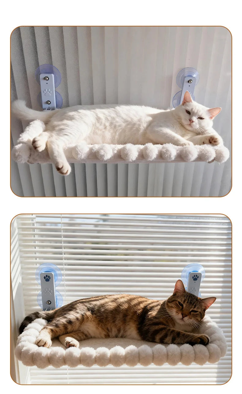 Deux mises en situation : un chat blanc et un chat tigré allongés sur un hamac à ventouses devant rideau et store
