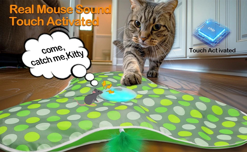 Tapis de jeu électrique cache-cache pour chat