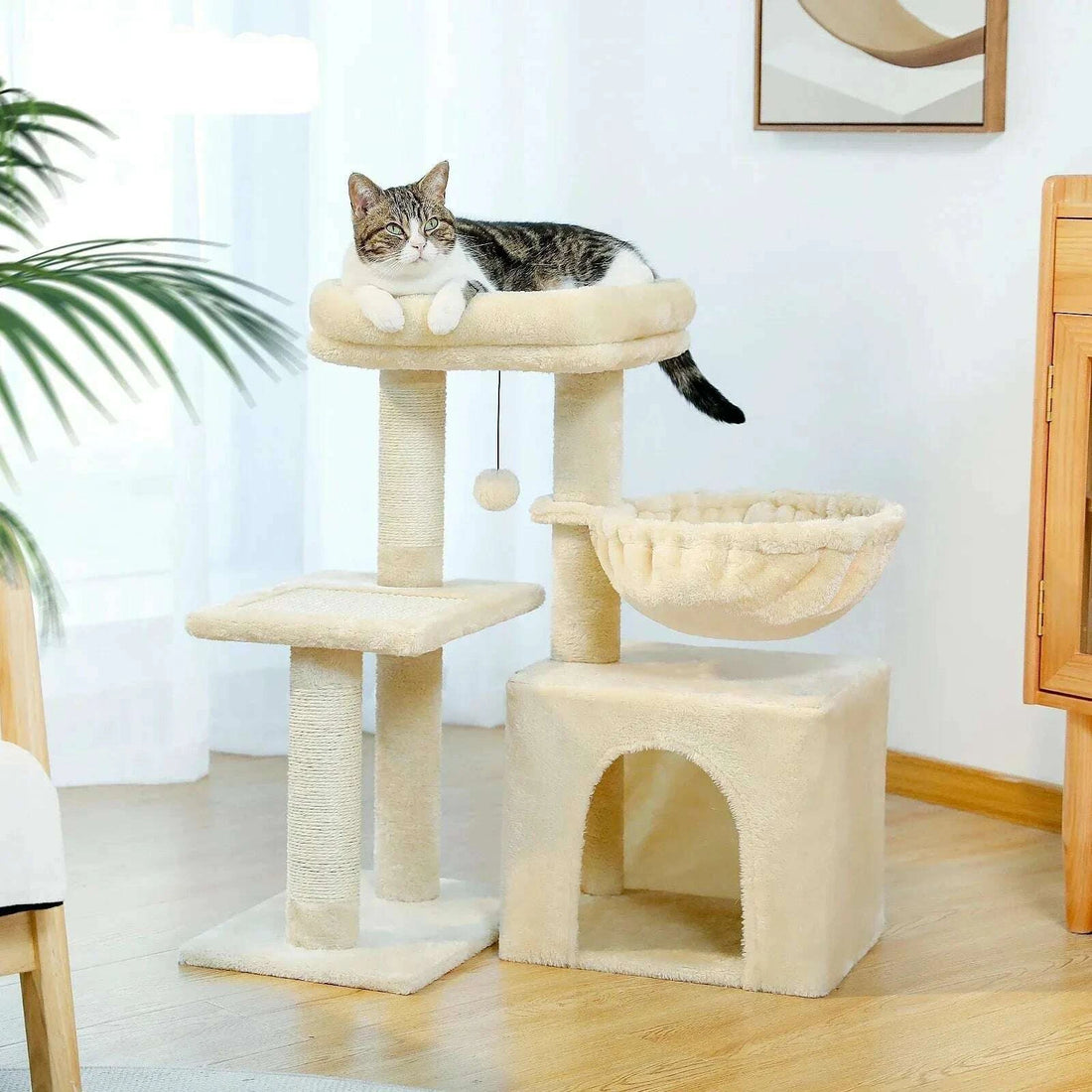 Arbre à chat compact et design — vue zoom