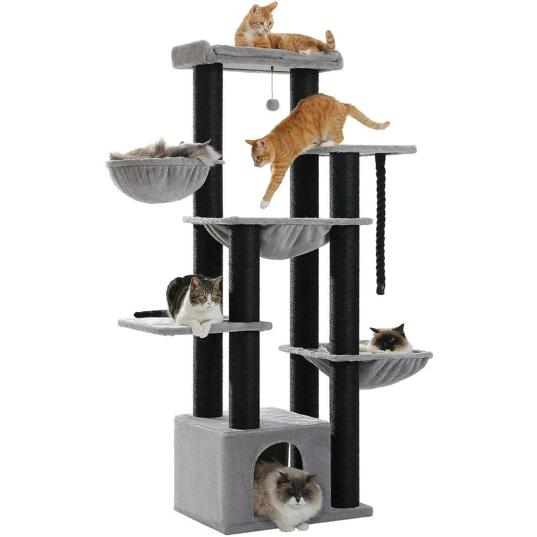 Arbre à chat en bois massif pour Maine Coon
