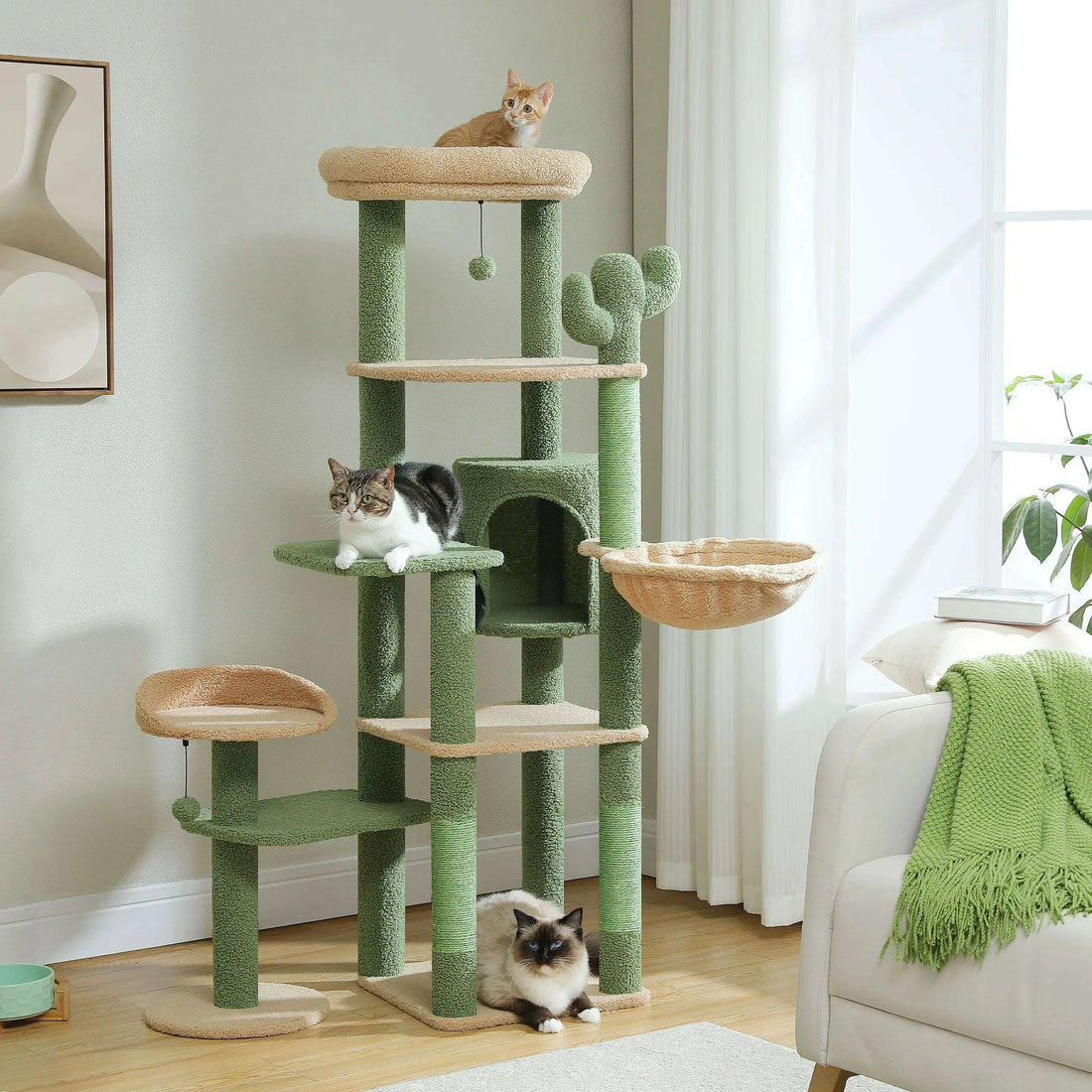 Arbre à chat maine coon style désert, vue d'ensemble