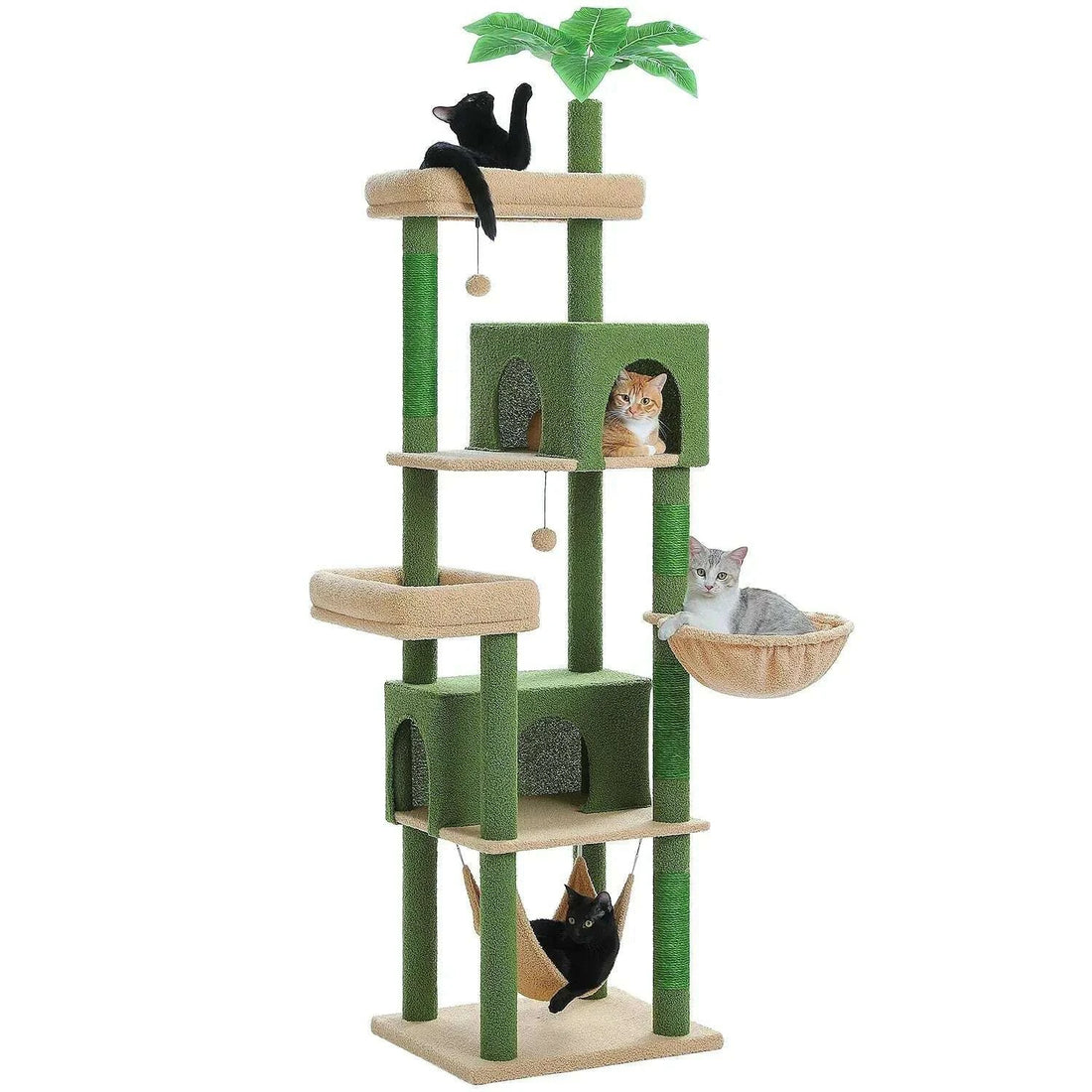 Arbre à chat vert pour Maine Coon