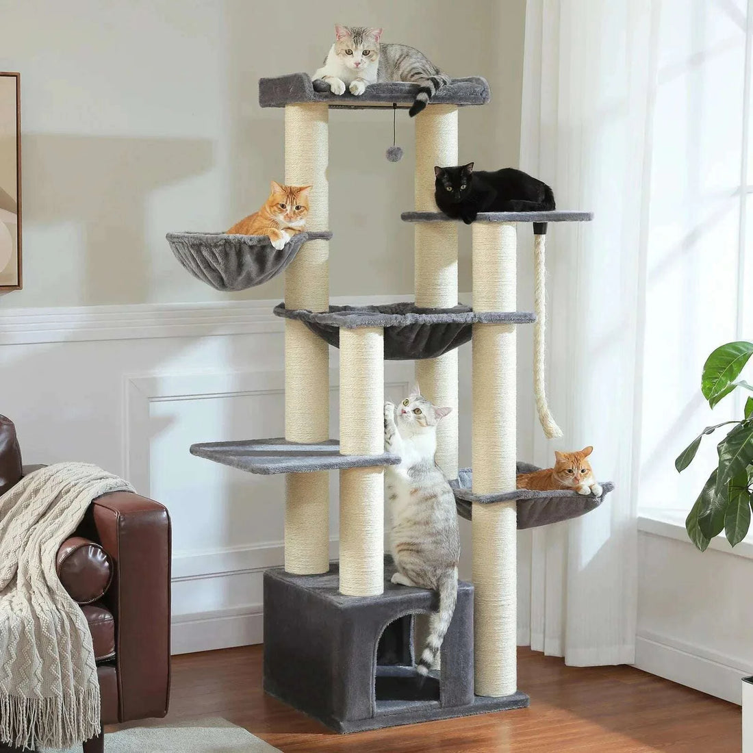 Arbre à chat XXL pour Maine Coon — vue d'ensemble