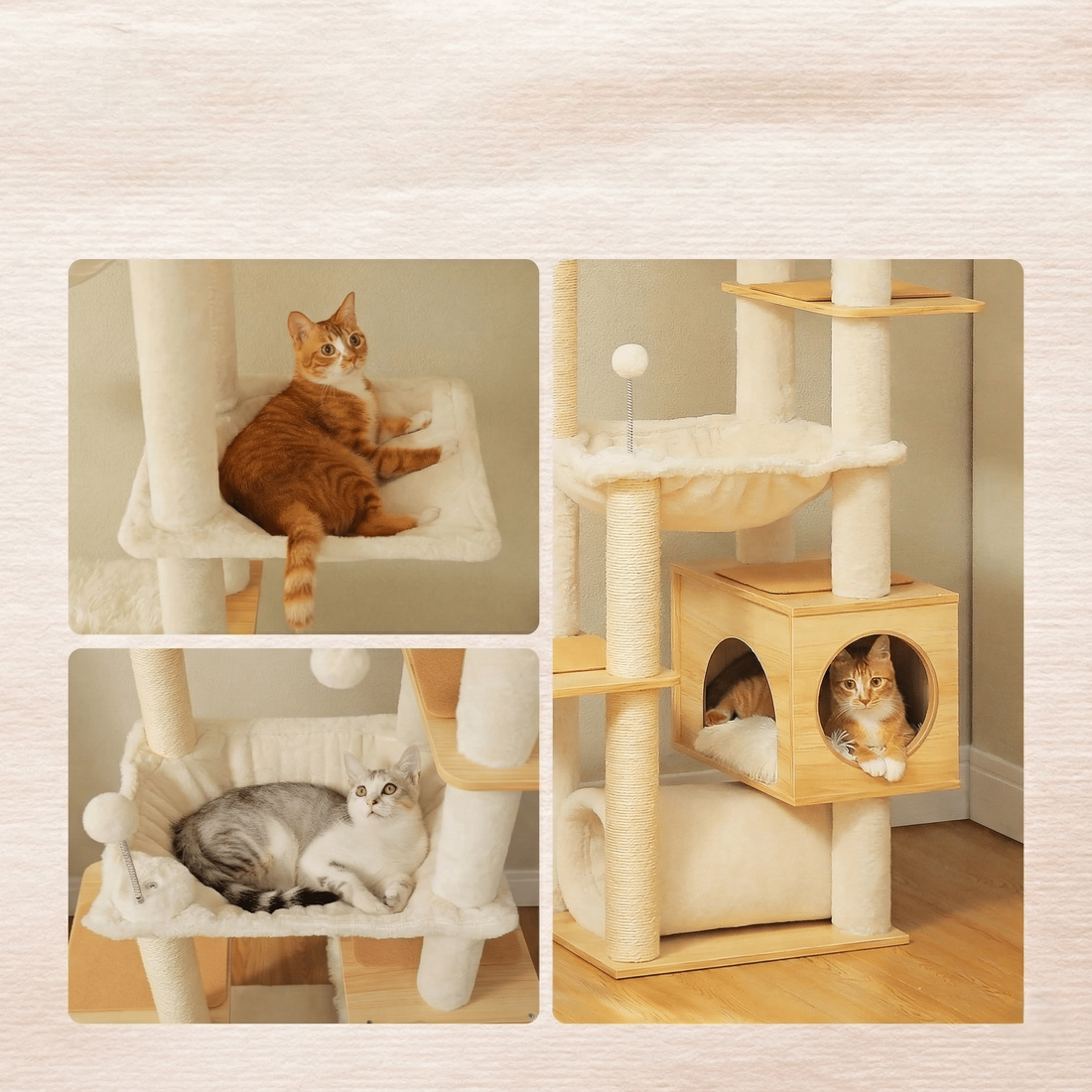 Arbre à chat en bois XXL, vue arrière