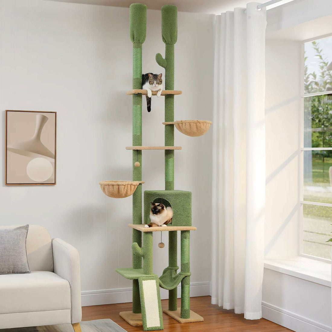 Arbre à chat cactus vert avec sisal