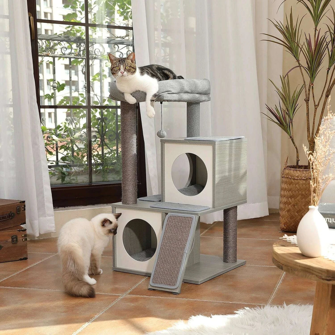 Petit arbre à chat en bois, vue d'ensemble