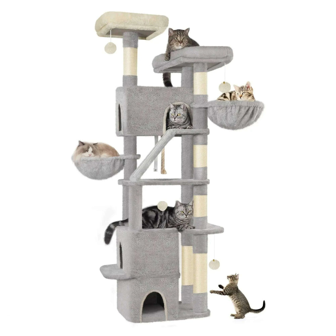 Arbre à chat multi-niveaux pour Maine Coon