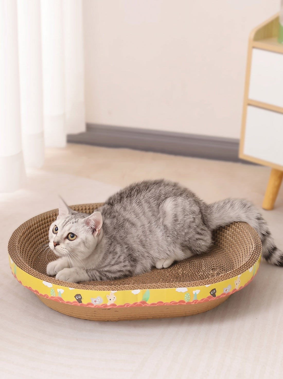 Chat tigré aux aguets, pattes avant posées sur la surface ondulée d'un griffoir ovale en carton