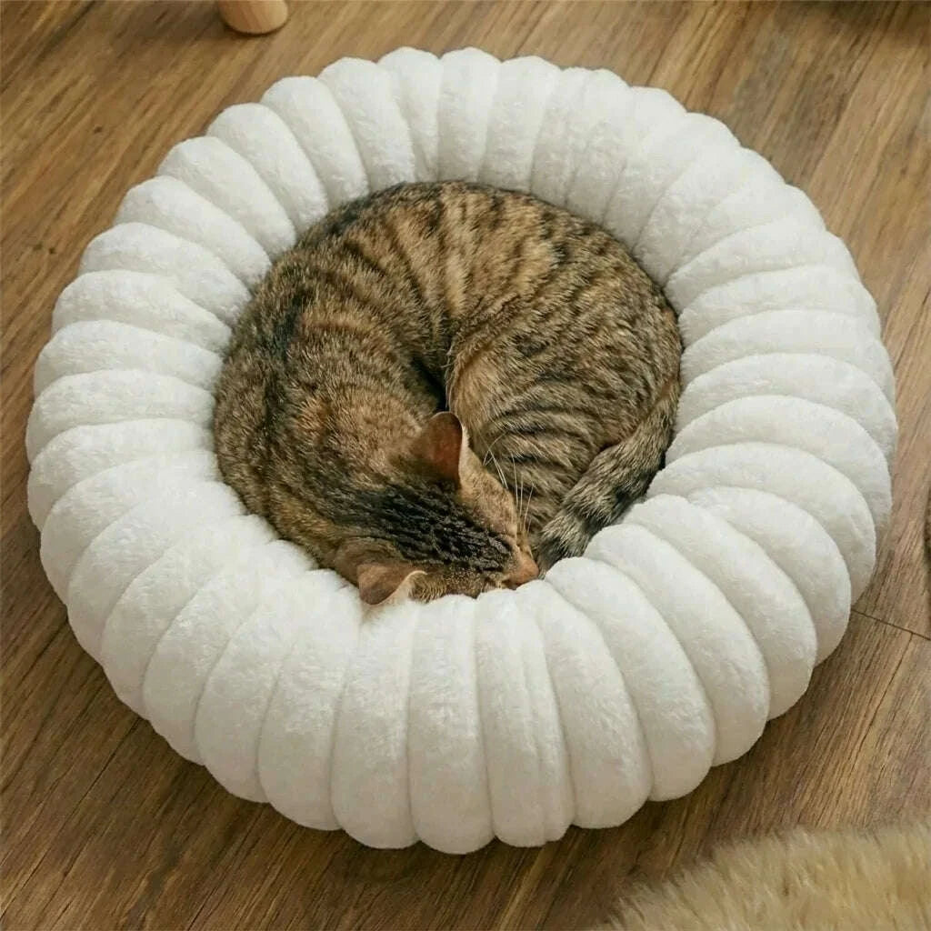 Panier pour chat blanc rond et confortable — vue de côté