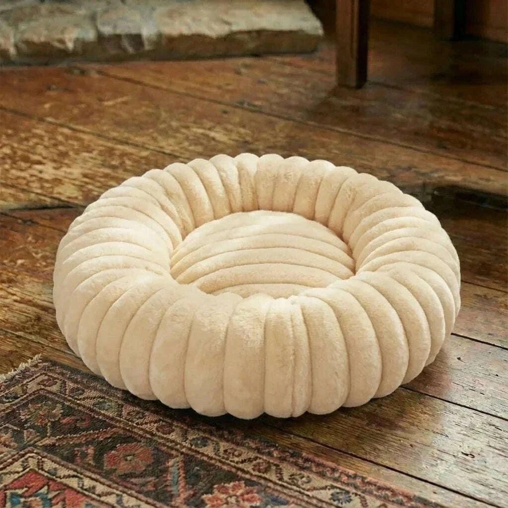 Panier rond pour chat — en situation