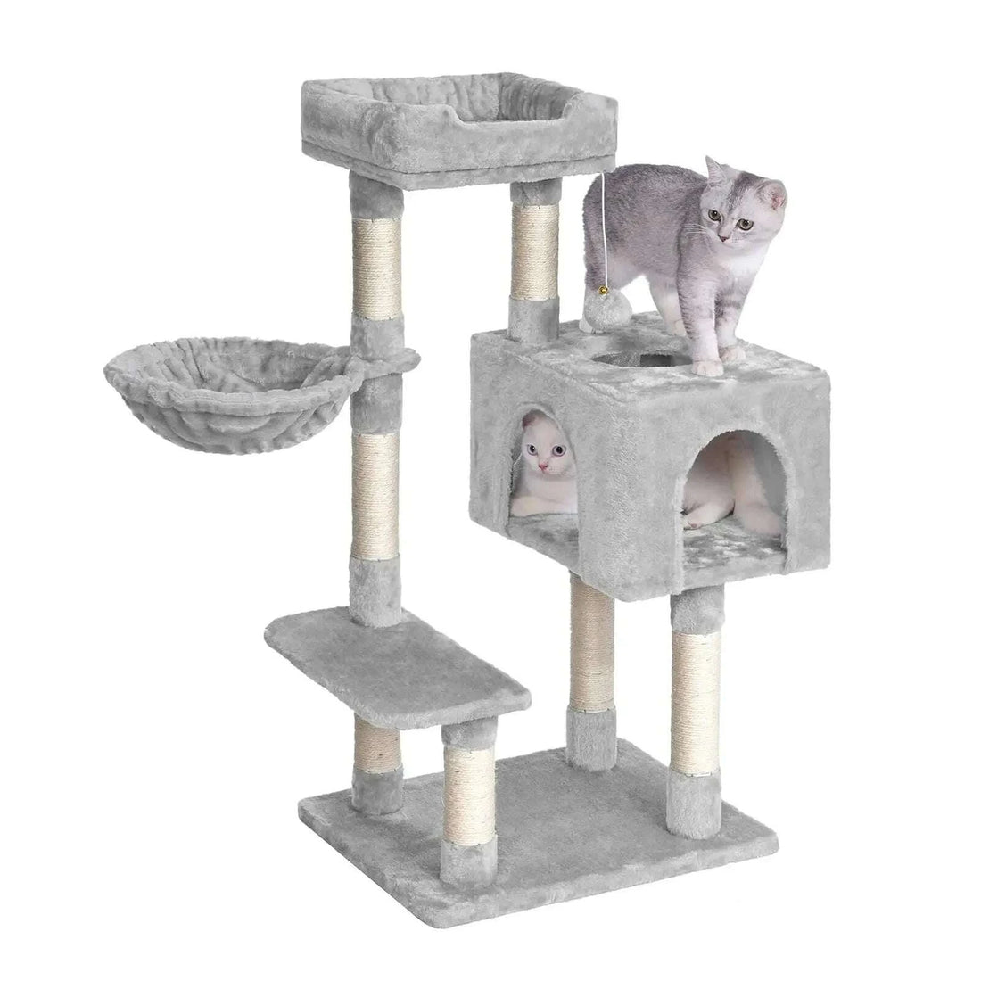 Petit arbre à chat compact