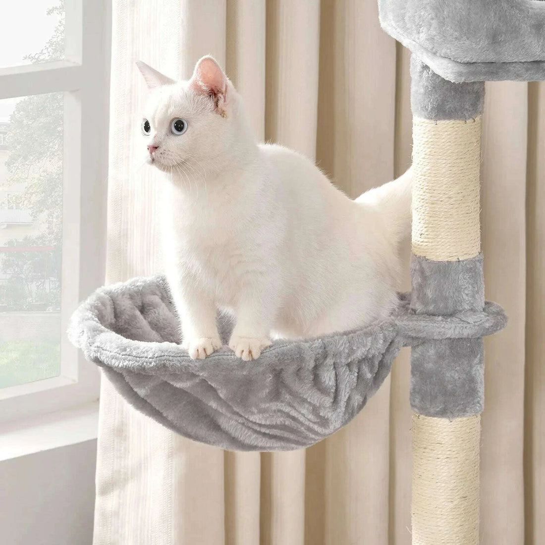 Petit arbre à chat compact — vue arrière