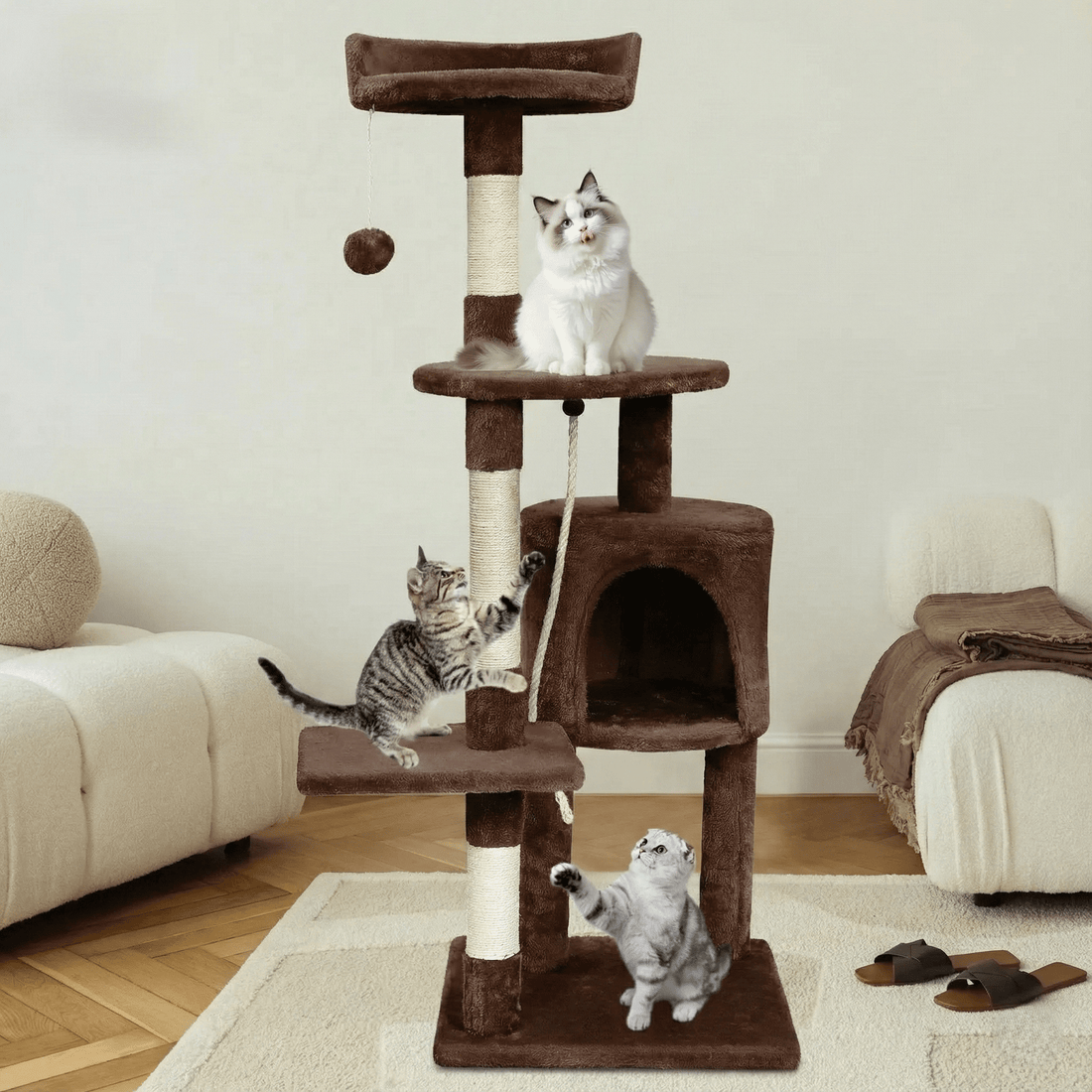 Arbre à chat pour chaton, plateformes et griffoir sisal