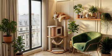 Petit arbre à chat : gagner de la place en appartement