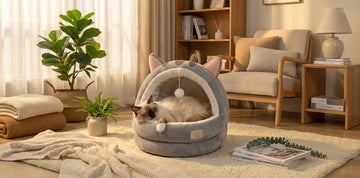Quelle maison pour chat choisir