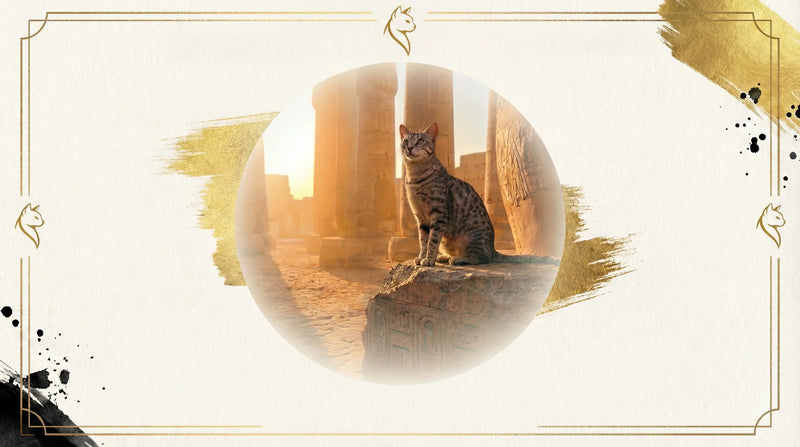Le Chat Égyptien : Divinité à Pattes et Héritage Millénaire du Mau