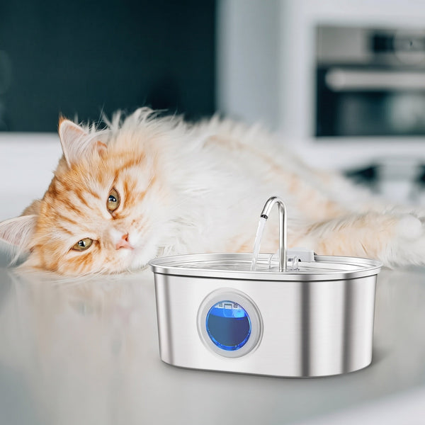 Chat allongé près d'une fontaine à eau pour chat en inox