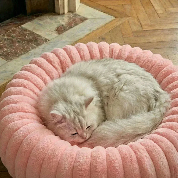 Panier pour chat XXL : le confort sur mesure des gros matous