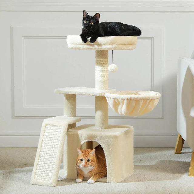 Petit arbre à chat