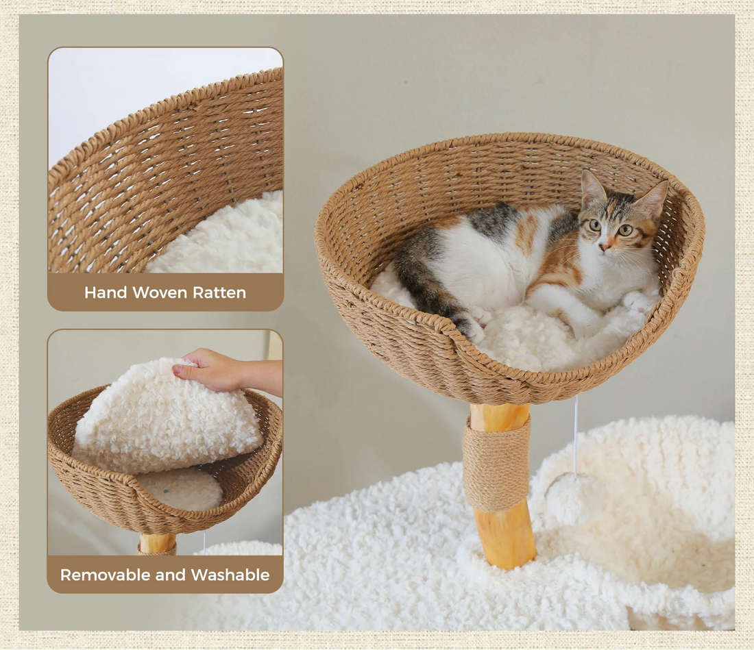 Arbre à chat en bois naturel, de profil