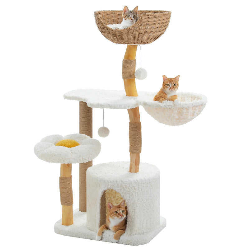Arbre à chat bois naturel
