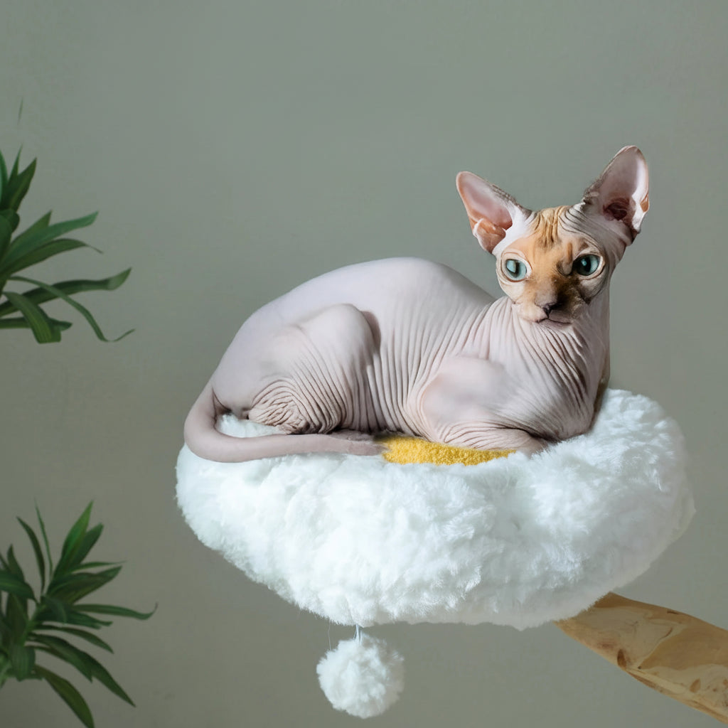 Arbre à chat en bois naturel — détail
