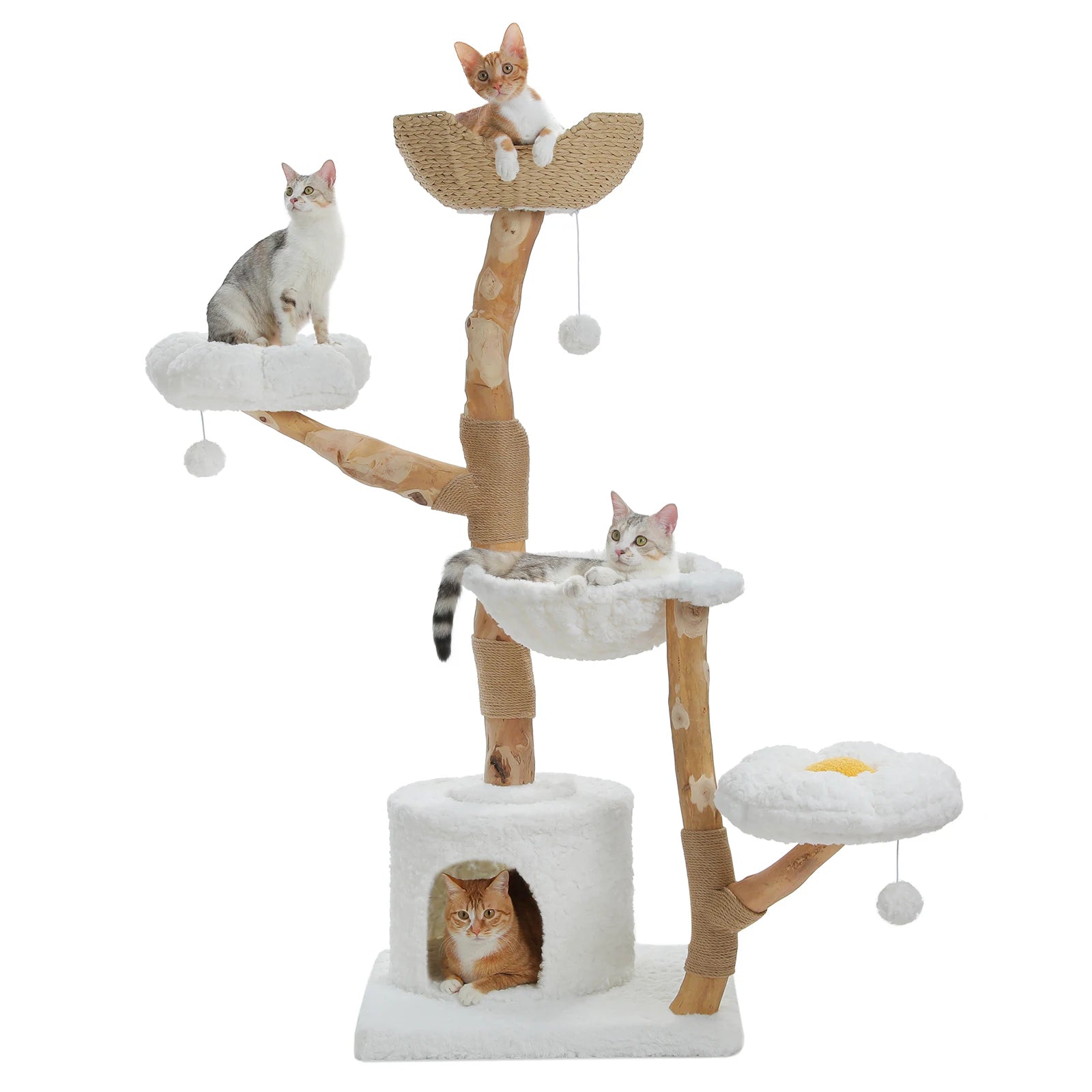 Arbre à chat en bois naturel