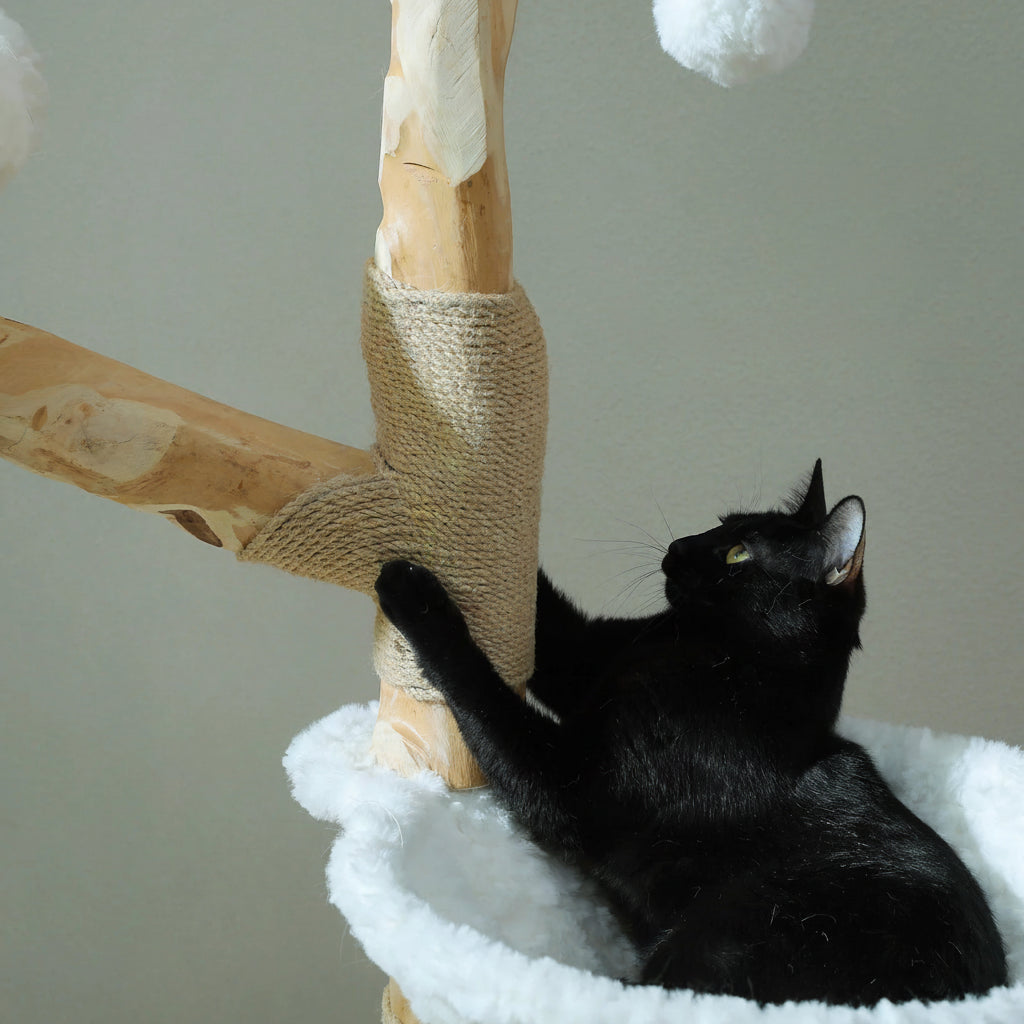 Arbre à chat en bois naturel — en situation
