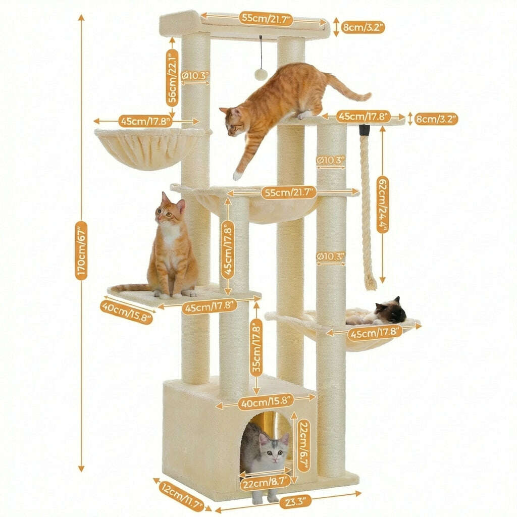 Arbre à chat solide pour Maine Coon — en situation