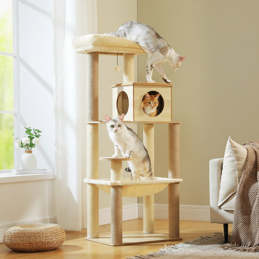 Arbre à chat en bois multi-niveaux — en situation