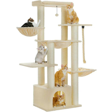 arbre-à-chat-maine-coon-solidele-félin-35860891