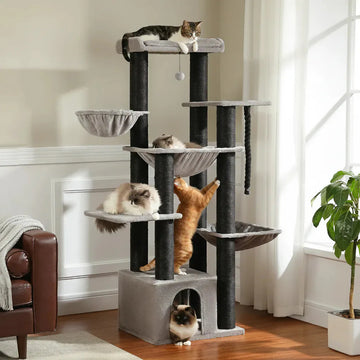 Arbre à chat maine coon 